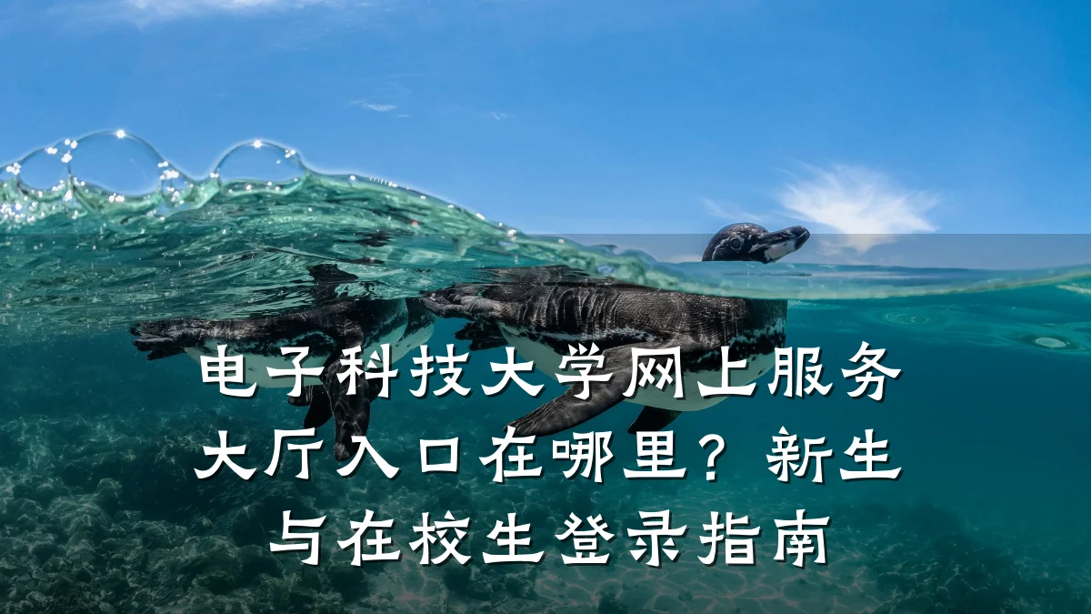 电子科技大学网上服务大厅入口在哪里？新生与在校生登录指南