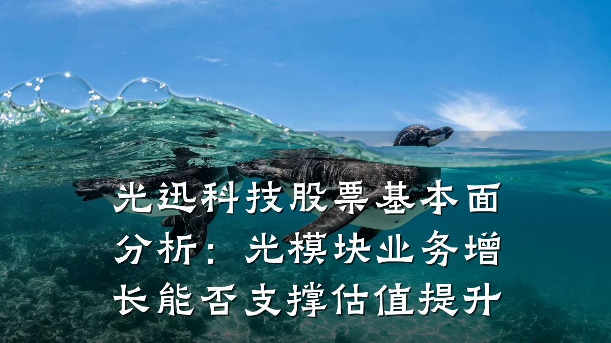 光迅科技股票基本面分析:光模块业务增长能否支撑估值提升