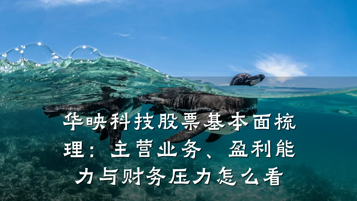 华映科技股票基本面梳理:主营业务、盈利能力与财务压力怎么看
