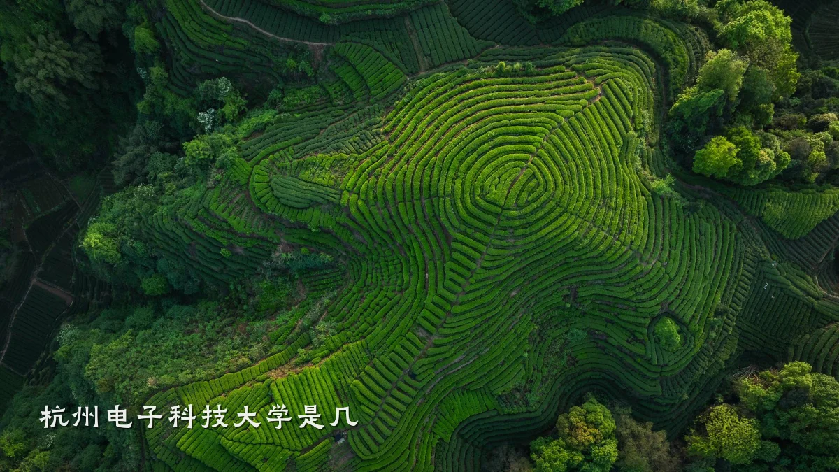 杭州电子科技大学是几