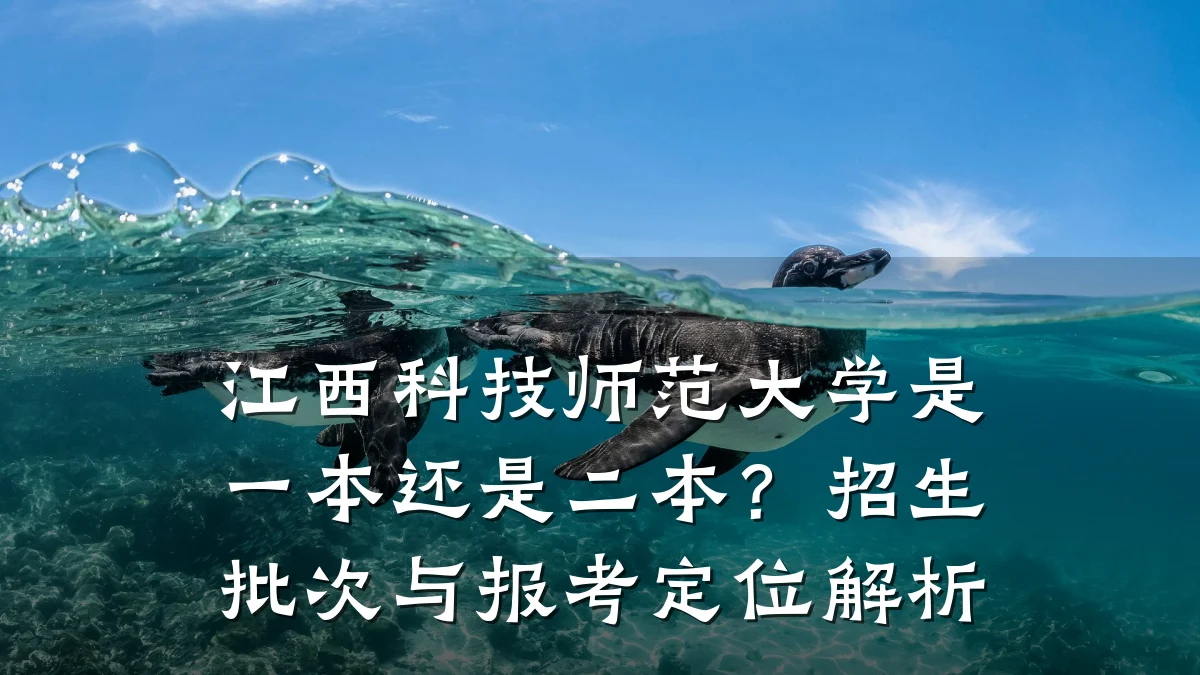 江西科技师范大学是一本还是二本?招生批次与报考定位解析