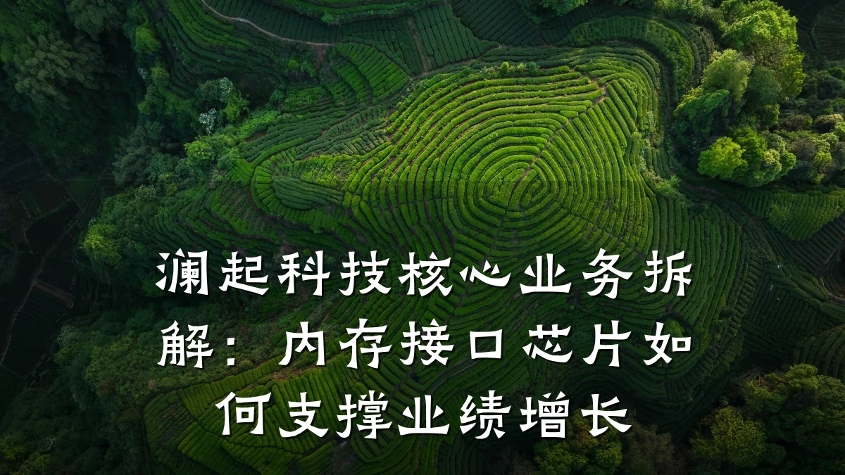 澜起科技核心业务拆解:内存接口芯片如何支撑业绩增长