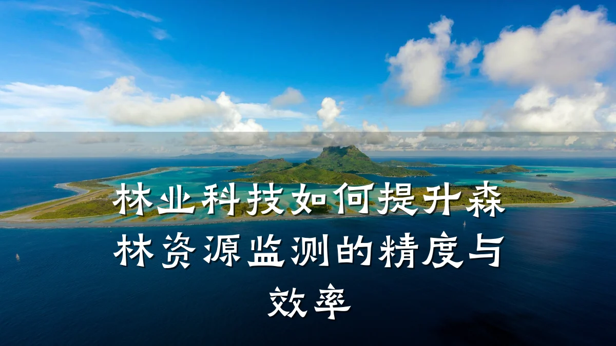 林业科技如何提升森林资源监测的精度与效率