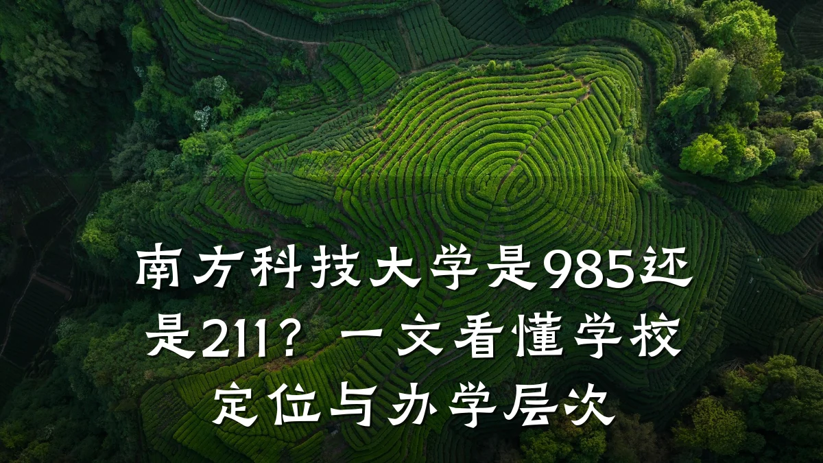 南方科技大学是985还是211?一文看懂学校定位与办学层次
