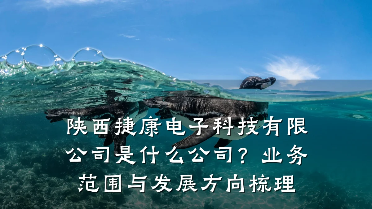 陕西捷康电子科技有限公司是什么公司?业务范围与发展方向梳理