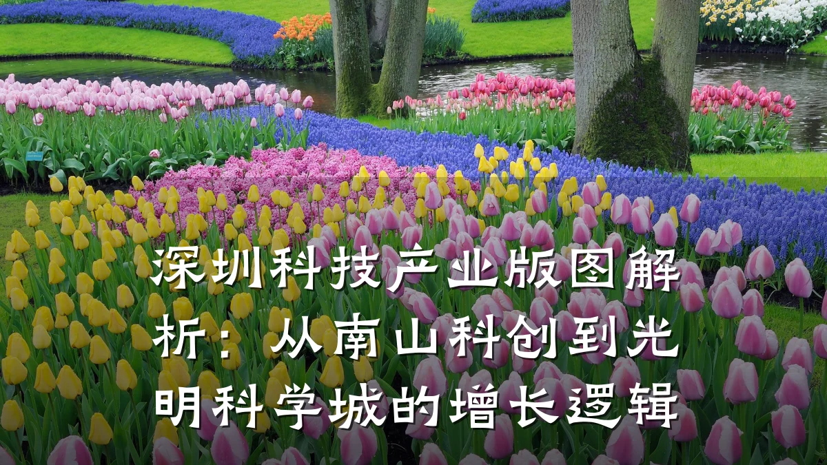 深圳科技产业版图解析:从南山科创到光明科学城的增长逻辑