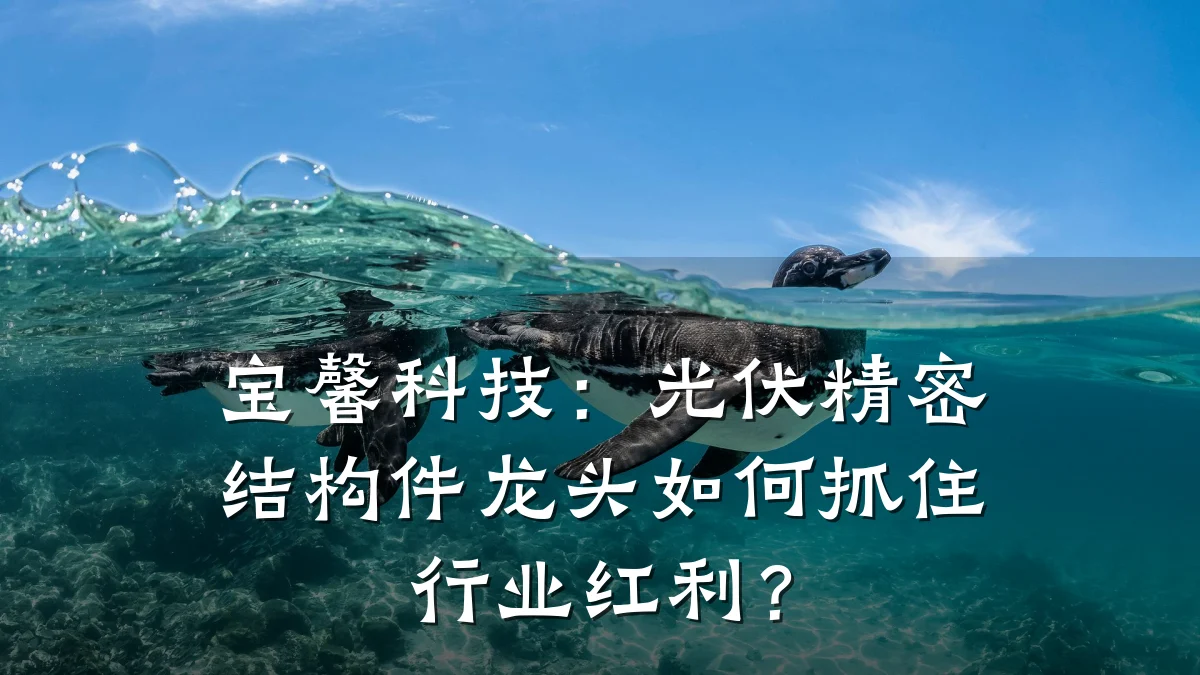 宝馨科技:光伏精密结构件龙头如何抓住行业红利?