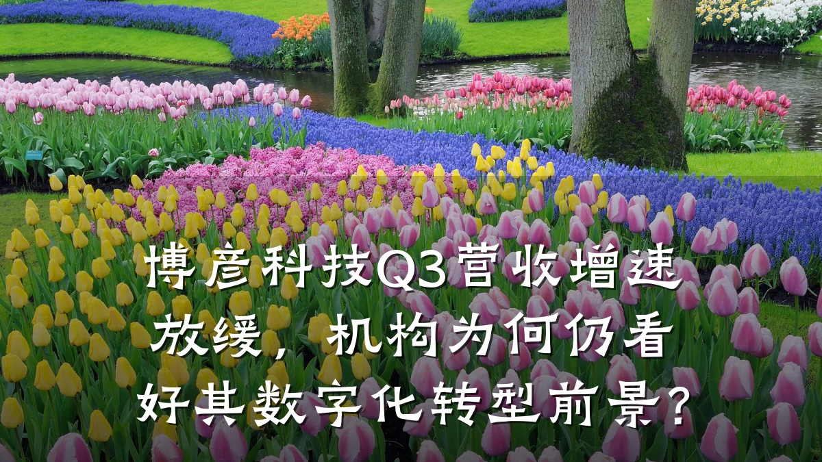 博彦科技Q3营收增速放缓,机构为何仍看好其数字化转型前景?