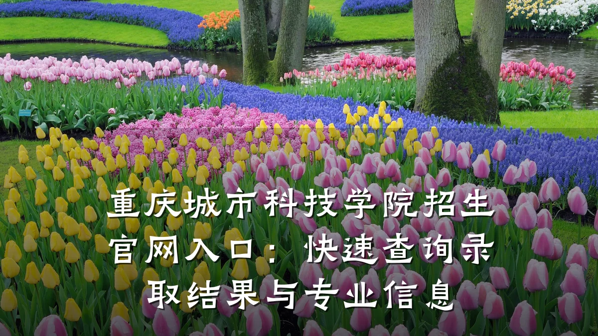 重庆城市科技学院招生官网入口:快速查询录取结果与专业信息