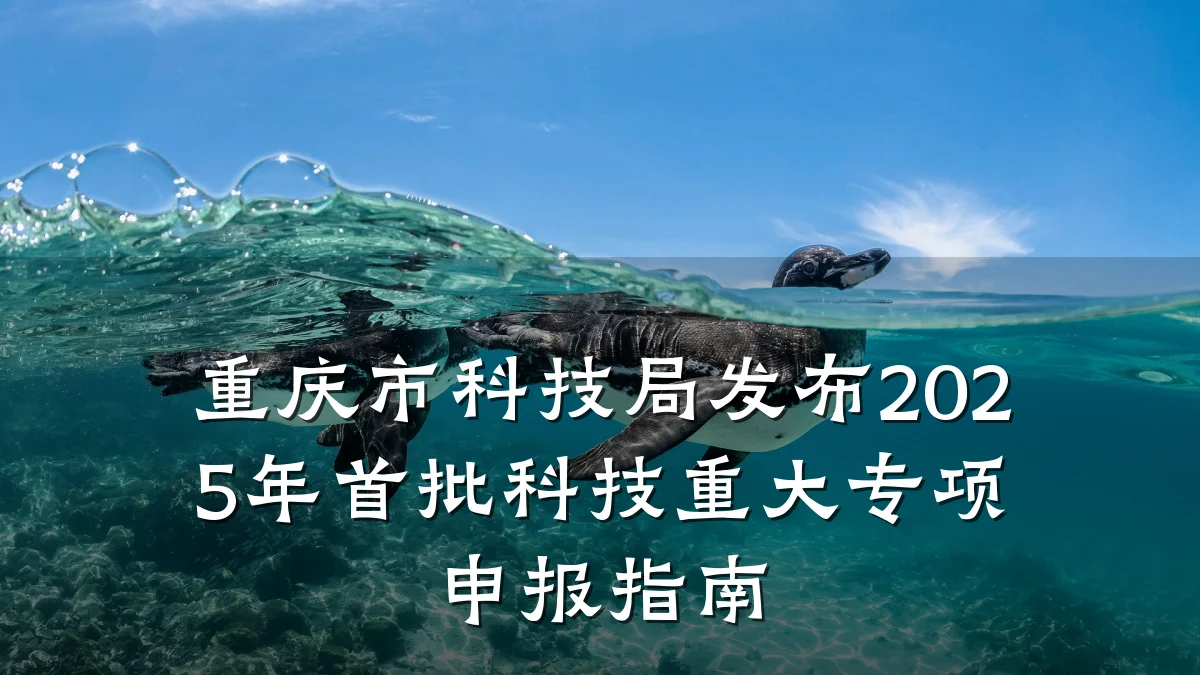 重庆市科技局发布2025年首批科技重大专项申报指南
