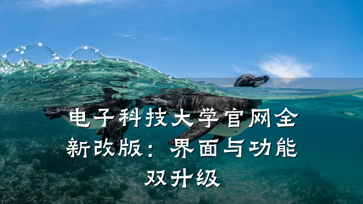 电子科技大学官网全新改版：界面与功能双升级