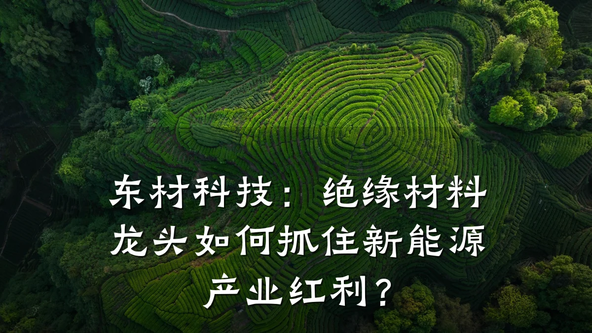 东材科技：绝缘材料龙头如何抓住新能源产业红利？