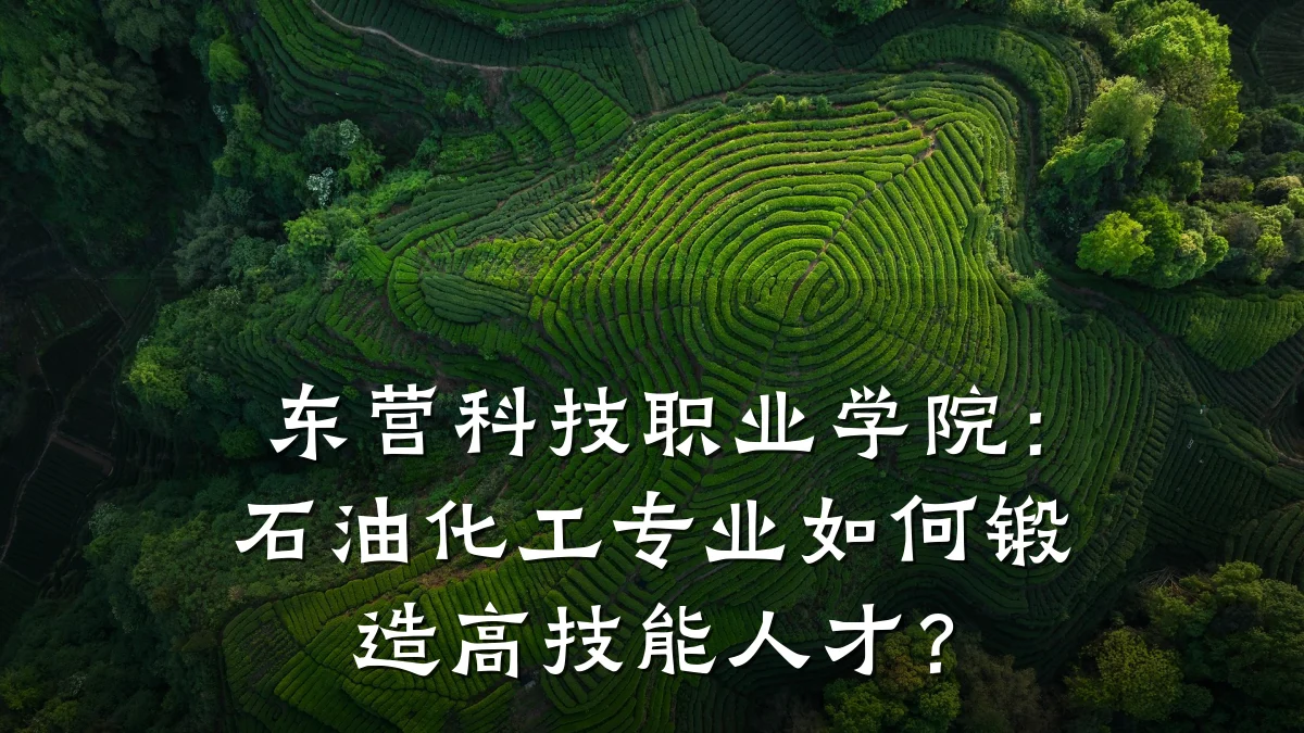 东营科技职业学院:石油化工专业如何锻造高技能人才?