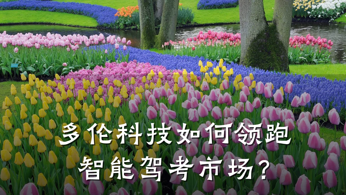多伦科技如何领跑智能驾考市场？