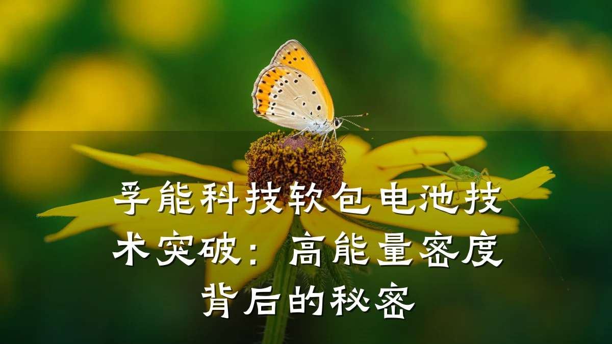 孚能科技软包电池技术突破:高能量密度背后的秘密