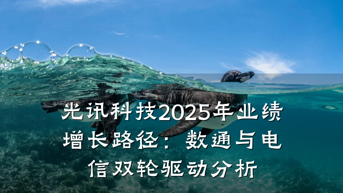 光讯科技2025年业绩增长路径:数通与电信双轮驱动分析