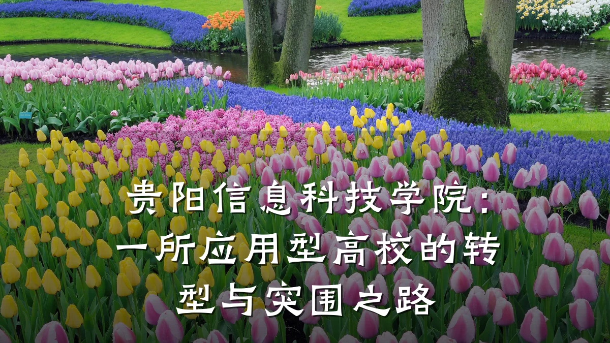 贵阳信息科技学院：一所应用型高校的转型与突围之路