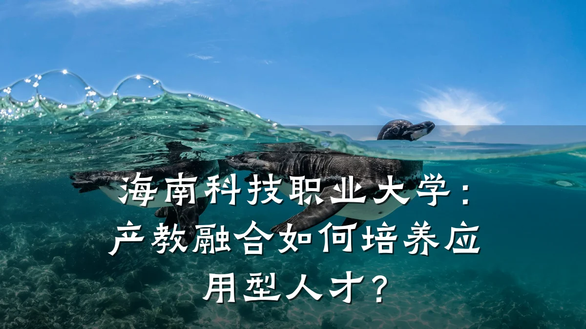 海南科技职业大学:产教融合如何培养应用型人才?