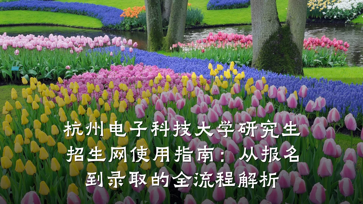 杭州电子科技大学研究生招生网使用指南:从报名到录取的全流程解析