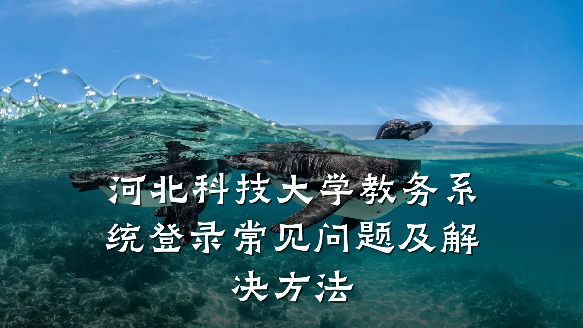 河北科技大学教务系统登录常见问题及解决方法
