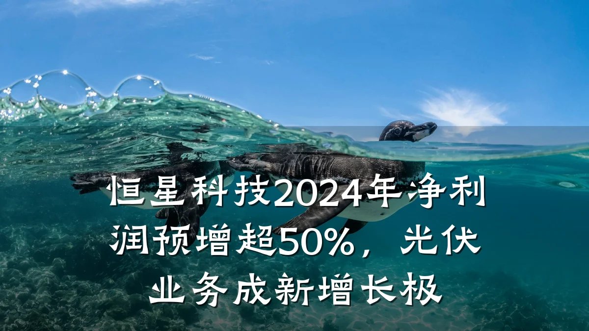 恒星科技2024年净利润预增超50%,光伏业务成新增长极