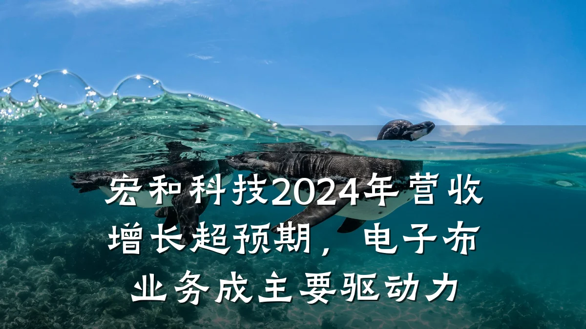 宏和科技2024年营收增长超预期,电子布业务成主要驱动力