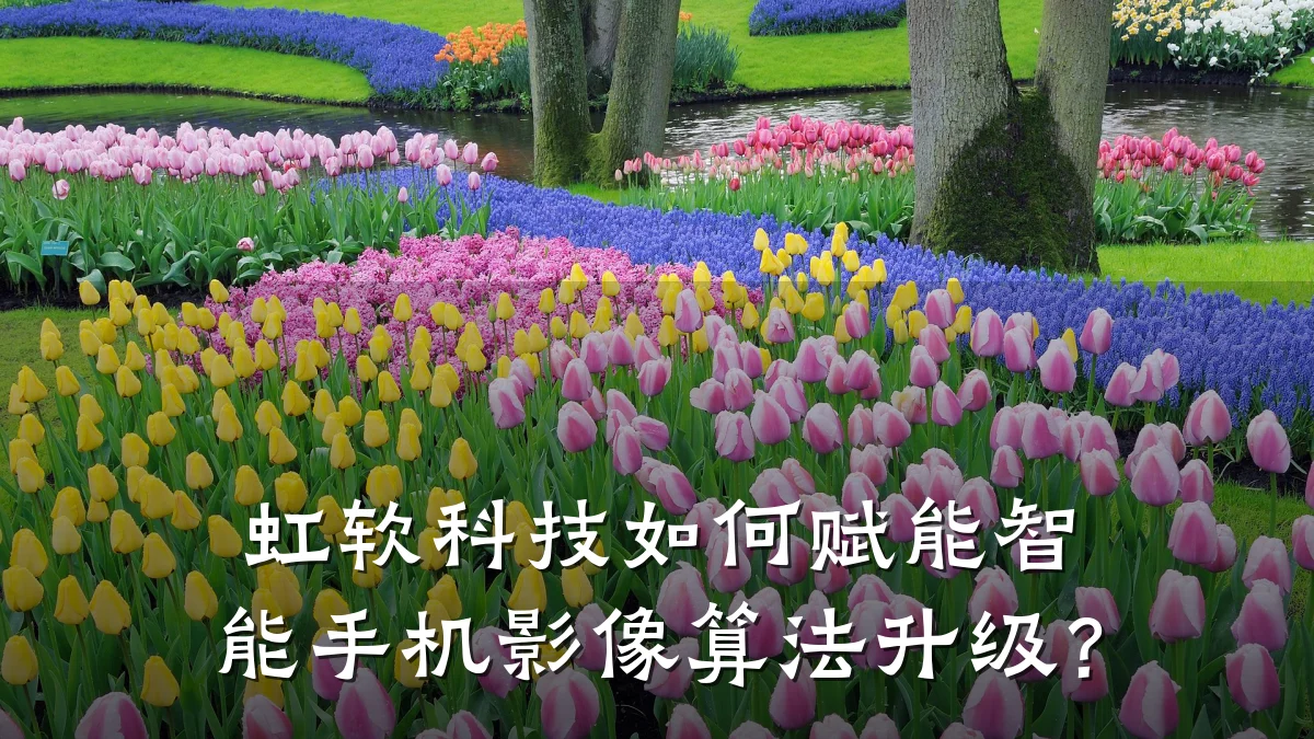虹软科技如何赋能智能手机影像算法升级?