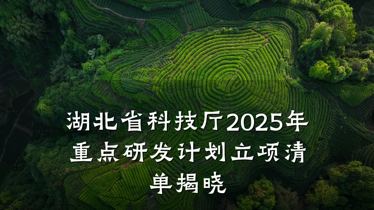 湖北省科技厅2025年重点研发计划立项清单揭晓