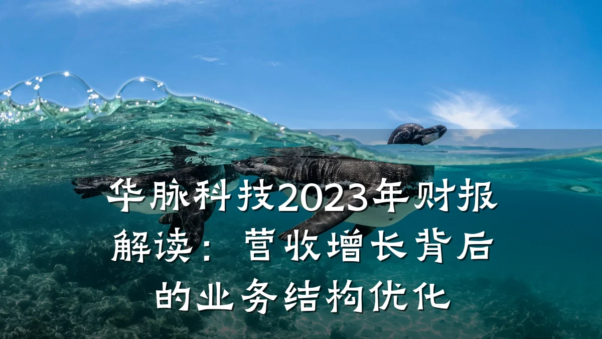 华脉科技2023年财报解读:营收增长背后的业务结构优化