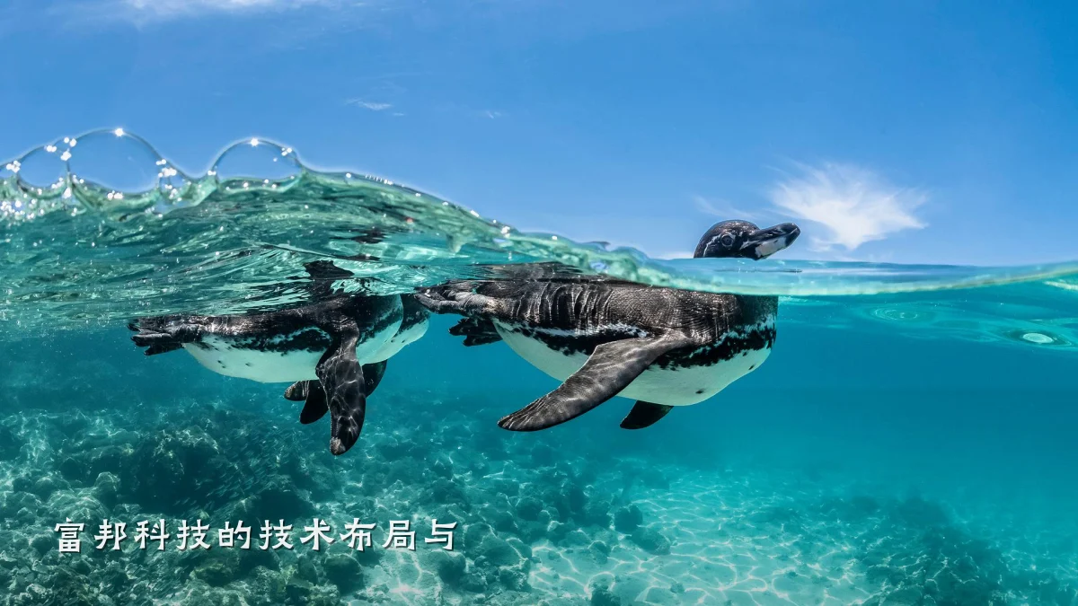 富邦科技的技术布局与