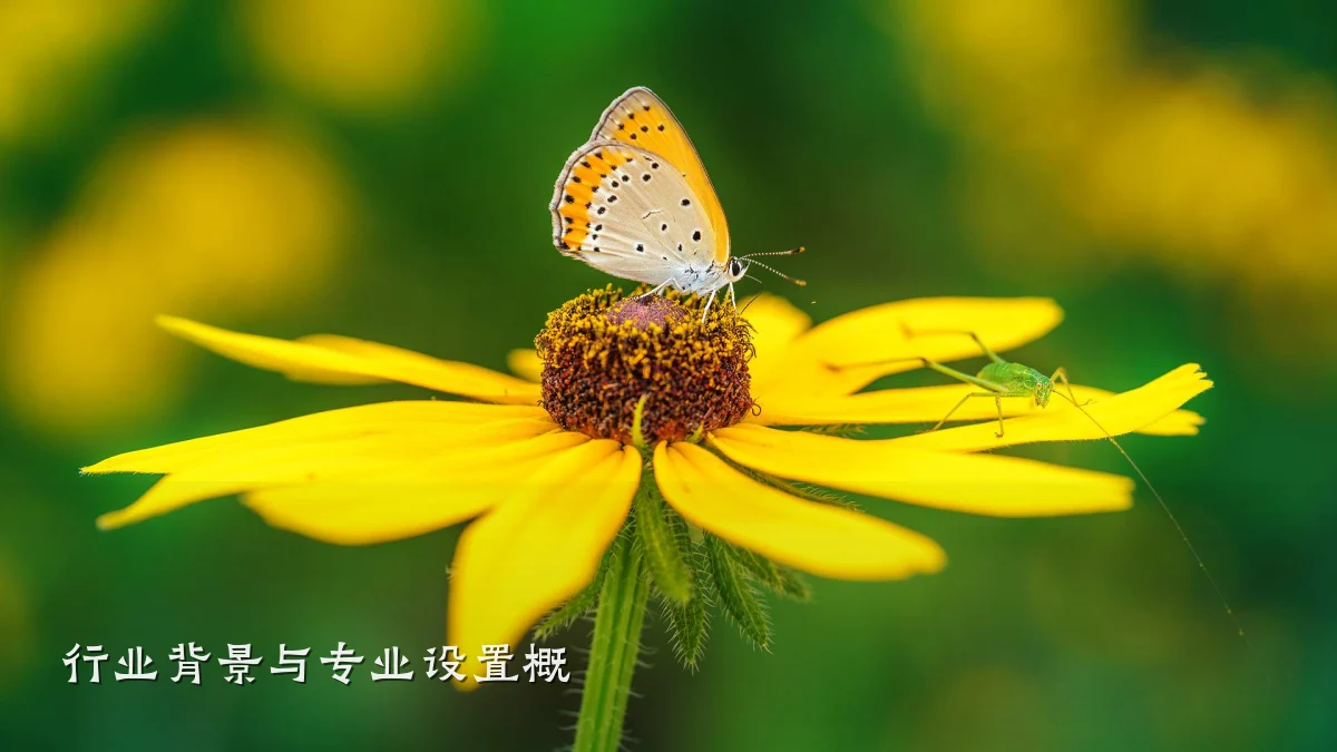 行业背景与专业设置概