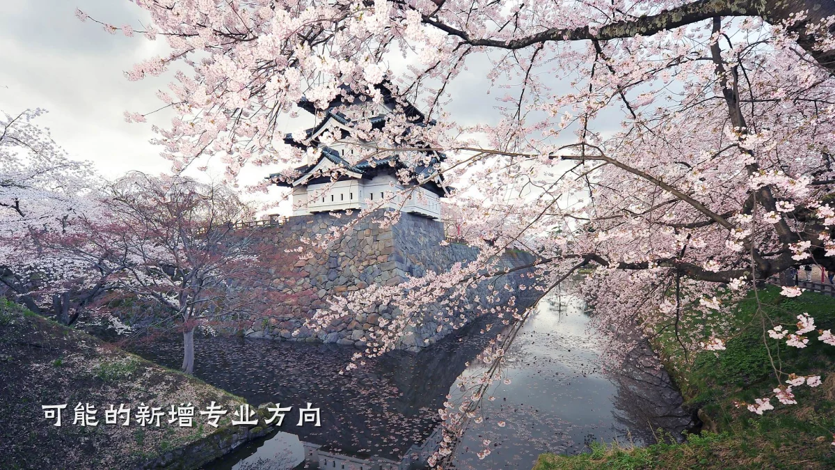可能的新增专业方向