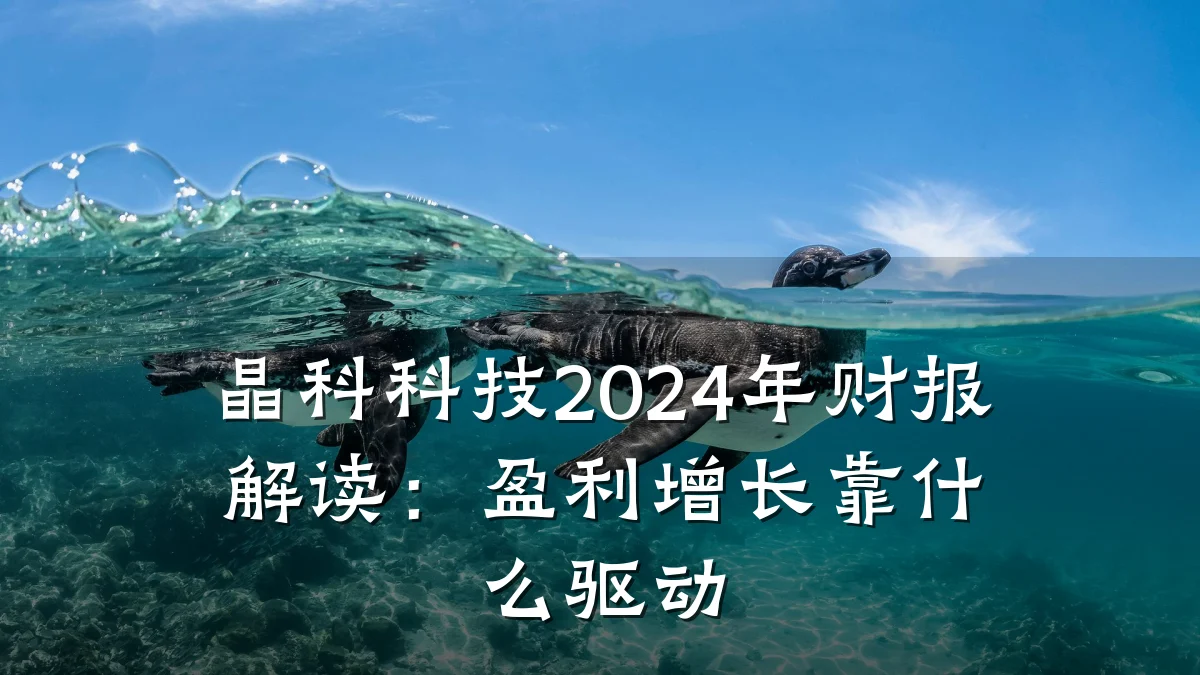 晶科科技2024年财报解读:盈利增长靠什么驱动