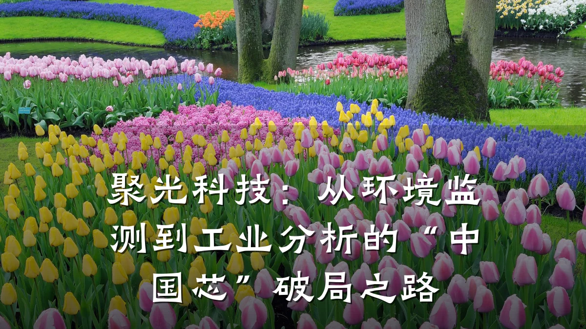 聚光科技:从环境监测到工业分析的“中国芯”破局之路