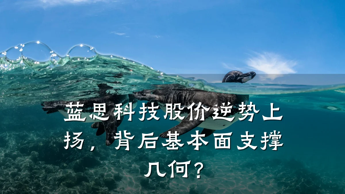 蓝思科技股价逆势上扬,背后基本面支撑几何?