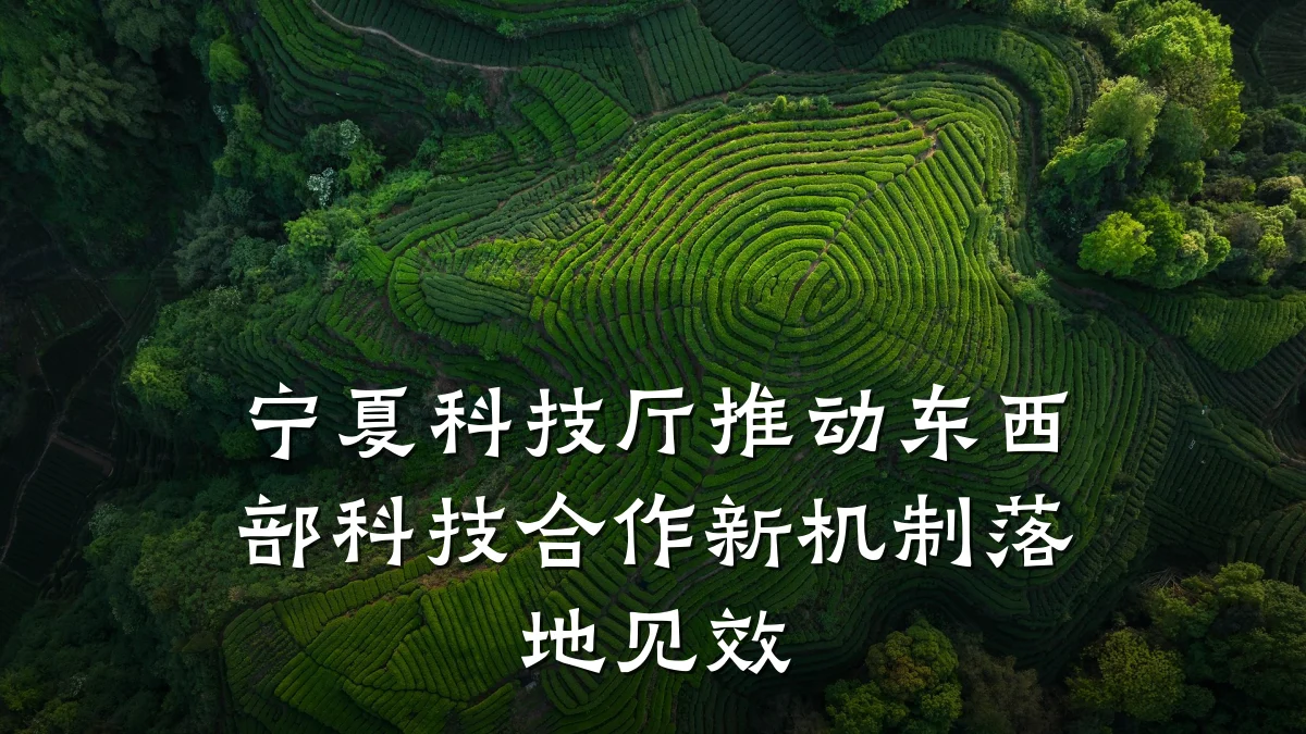 宁夏科技厅推动东西部科技合作新机制落地见效
