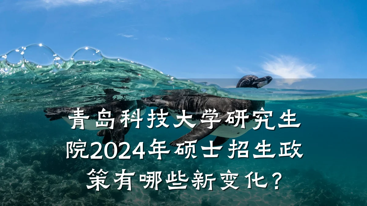 青岛科技大学研究生院2024年硕士招生政策有哪些新变化?