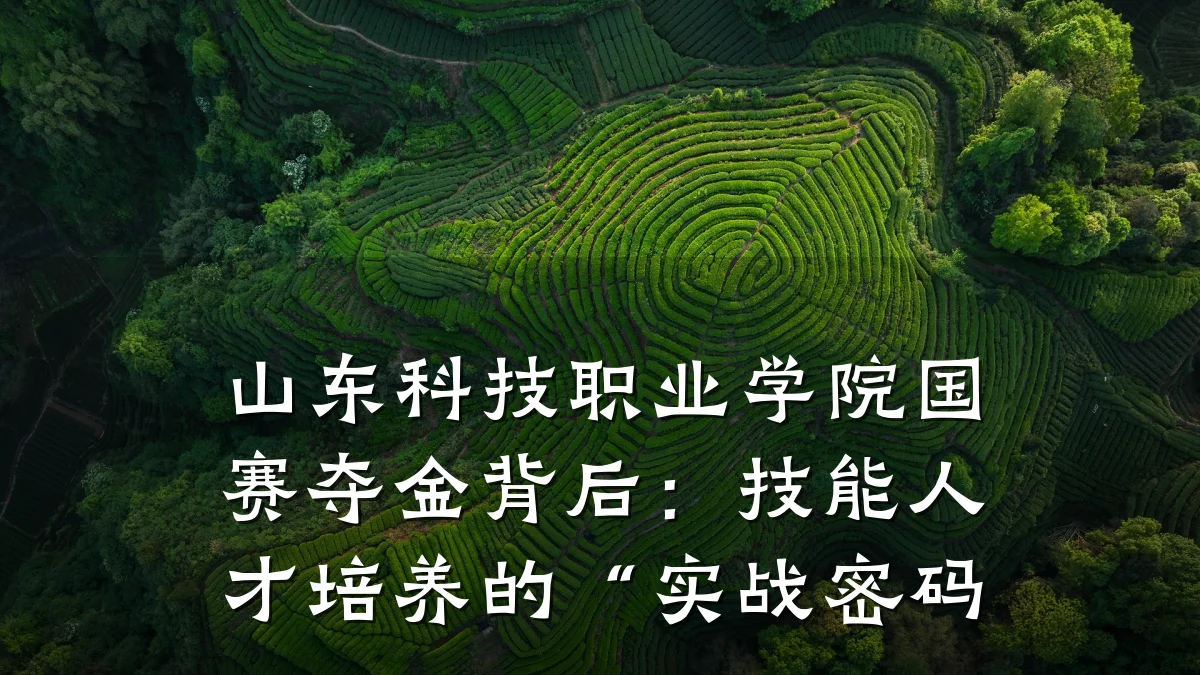 山东科技职业学院国赛夺金背后:技能人才培养的“实战密码