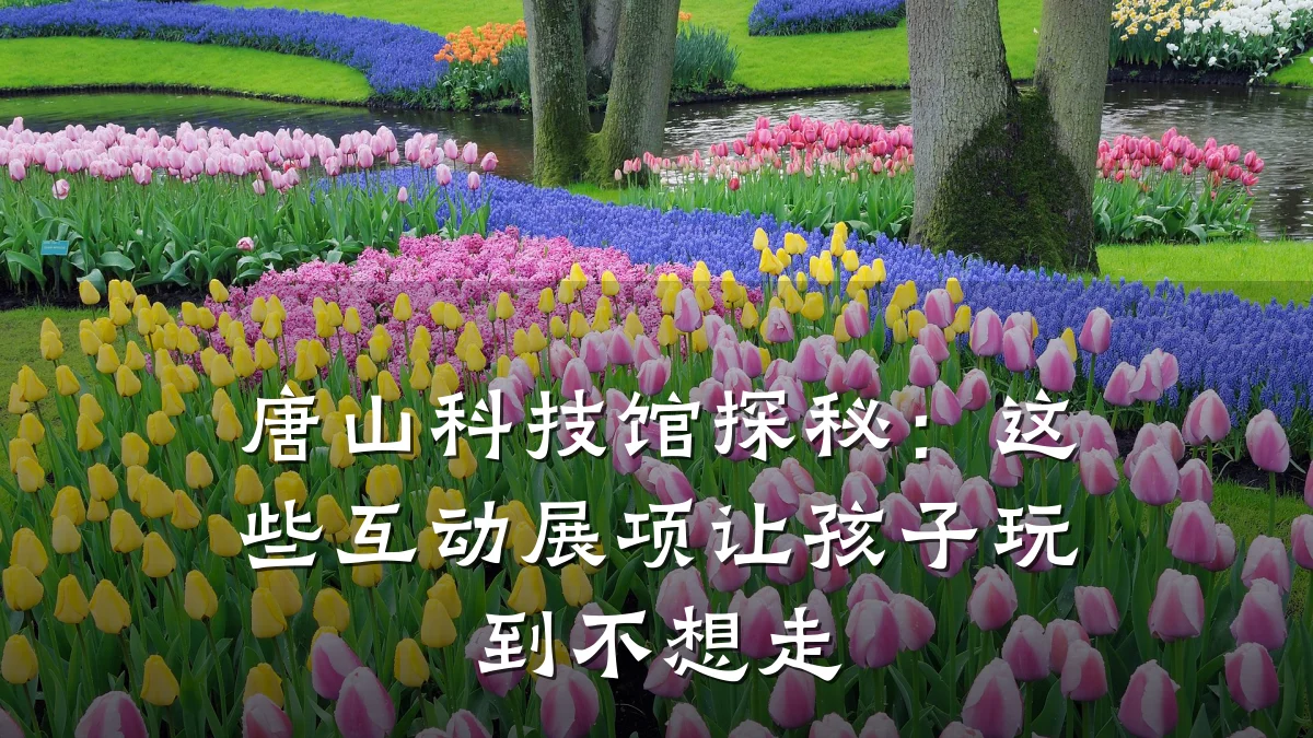 唐山科技馆探秘:这些互动展项让孩子玩到不想走