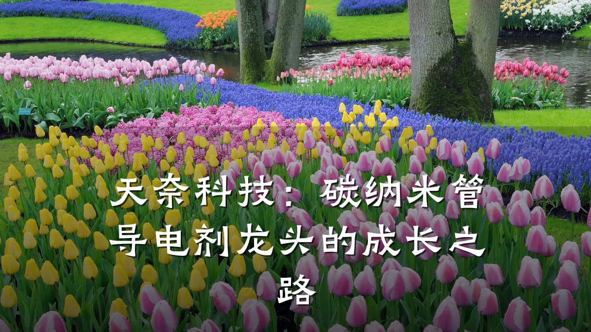 天奈科技:碳纳米管导电剂龙头的成长之路