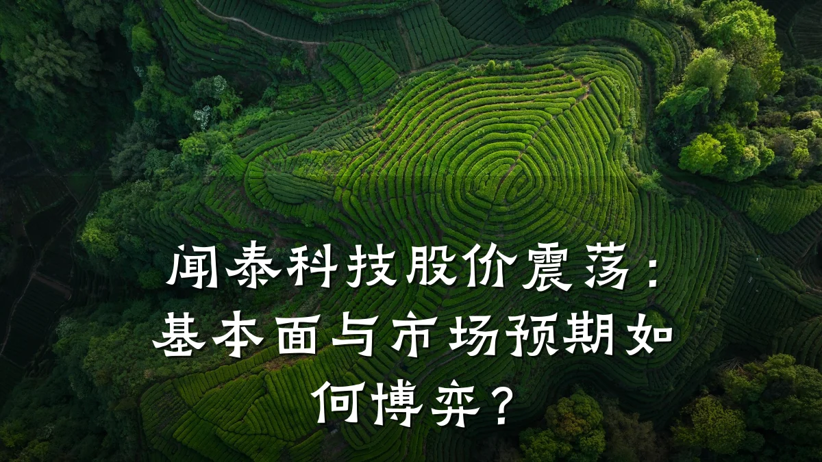 闻泰科技股价震荡:基本面与市场预期如何博弈?