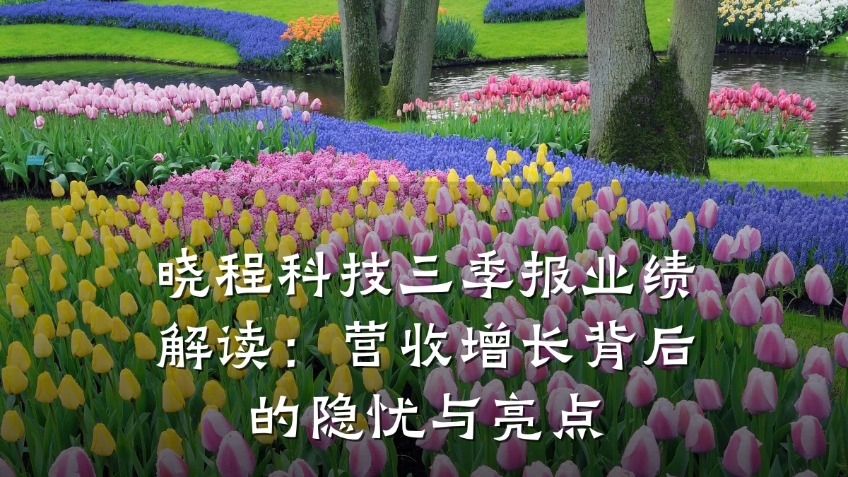晓程科技三季报业绩解读:营收增长背后的隐忧与亮点