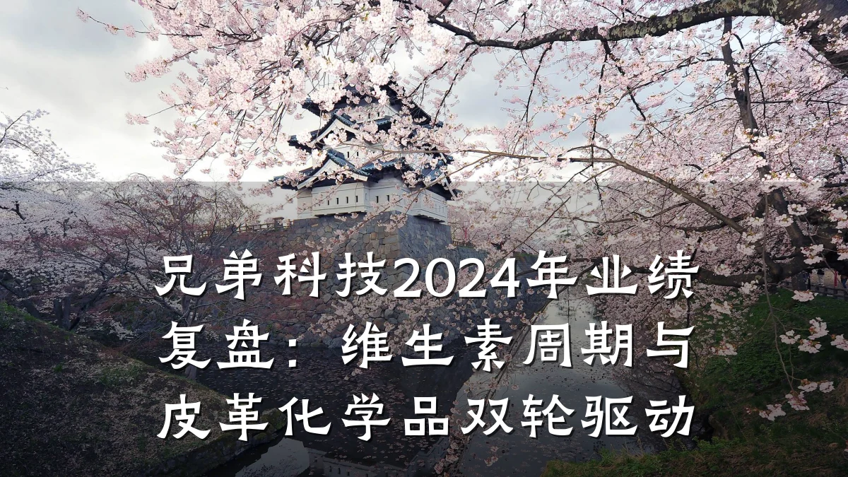 兄弟科技2024年业绩复盘：维生素周期与皮革化学品双轮驱动