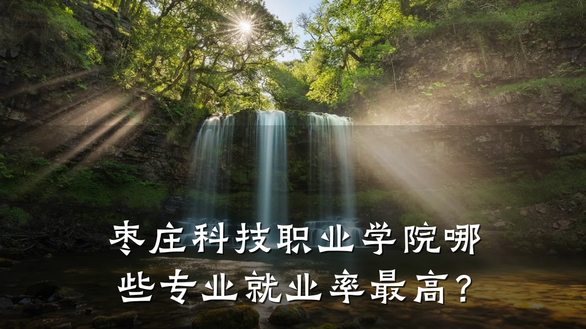 枣庄科技职业学院哪些专业就业率最高?