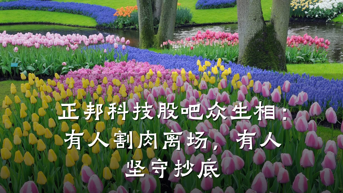 正邦科技股吧众生相:有人割肉离场,有人坚守抄底